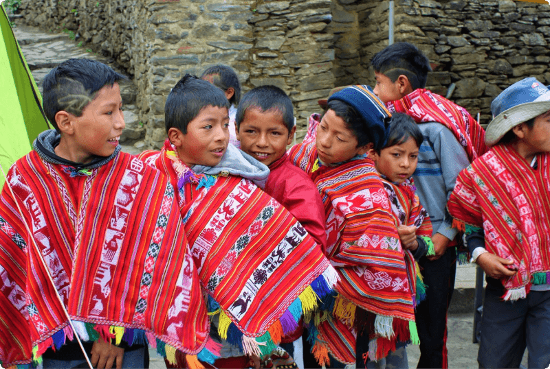 Social Projects